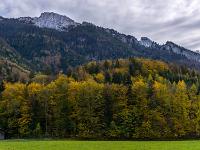 Herbstwald unter Sonnwendwand Kamm